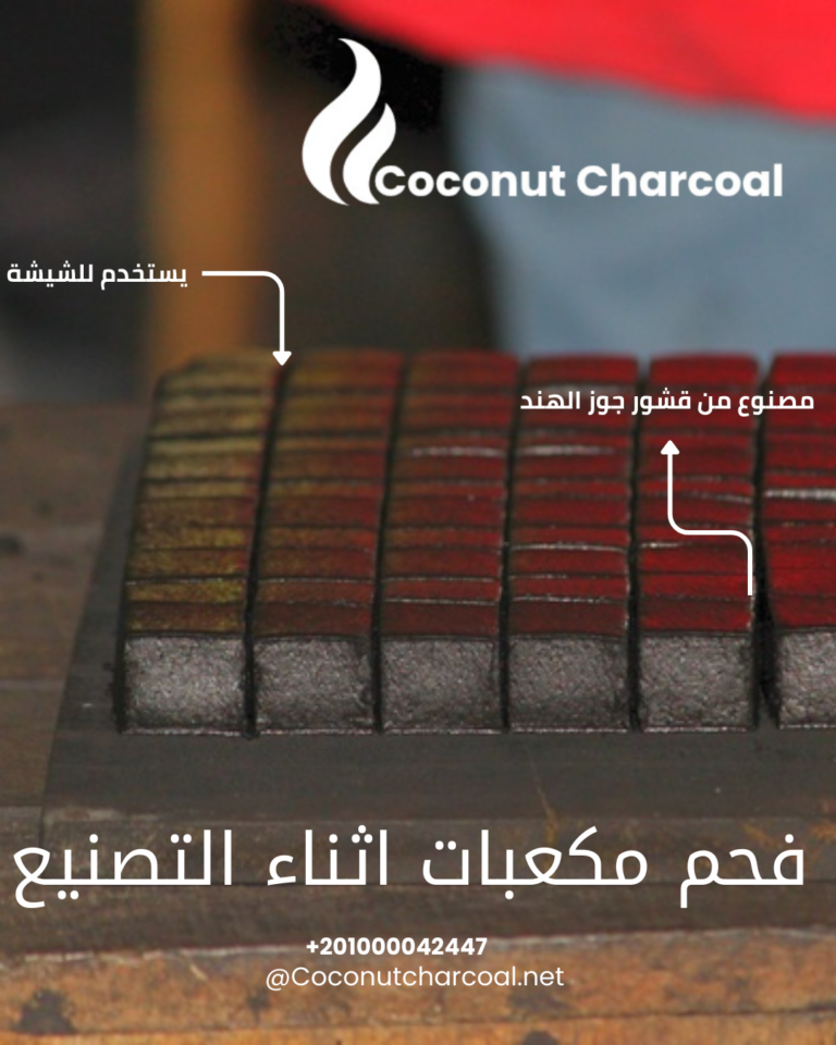 مكعبات أثناء التصنيع في مصنع فحم جوز الهند